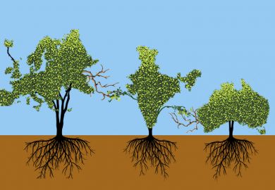 Trees in the shape of Europe, India and Australia, with barren branches reaching out towards India being given growth from the Indian tree. Illustrating the need for HE collaborations to leverage local strengths.