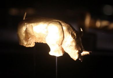 The Mapungubwe Rhino