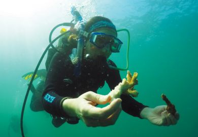 Marine biologist scuba diving and working underwater Marine biologist scuba diving and working underwater