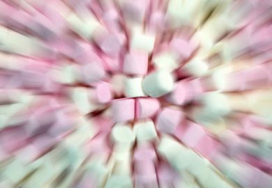 marshmallows marshmallows