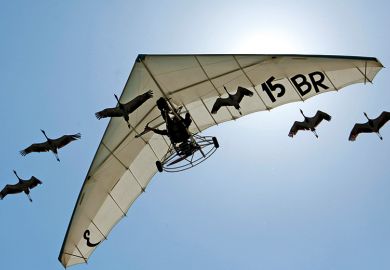 Microlight pilot flies with flock of cranes