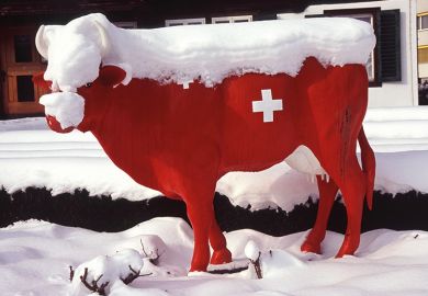 Model of a Swiss cow