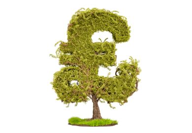 A tree in the shape of a pound sign A tree in the shape of a pound sign