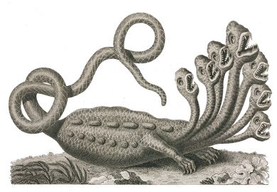 monster with many heads