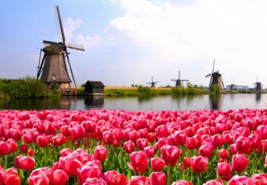 Best universities for graduate employability in the Netherlands Netherlands, graduate employability, university