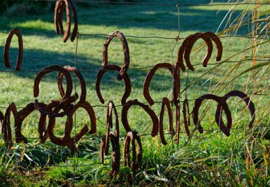 Old rusty horseshoes hanging upside down on a wire fence, New Zealand.