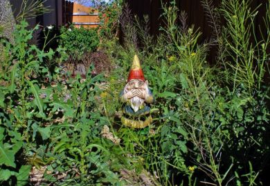 Overgrown garden with gnome Overgrown garden with gnome