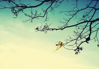 Kite