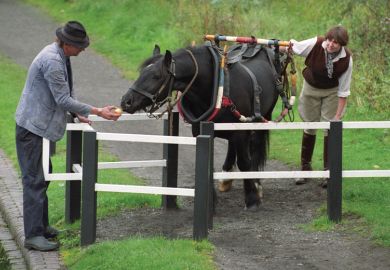 People using apple to coax horse through gate People using apple to coax horse through gate