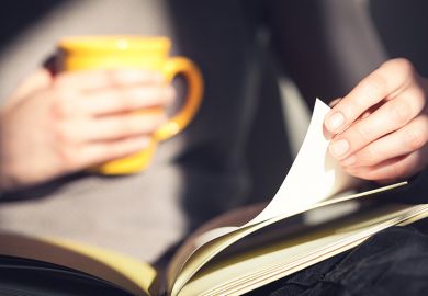 Person sitting and reading in sunlight