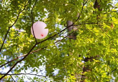 Pink balloon stuck in tree branches