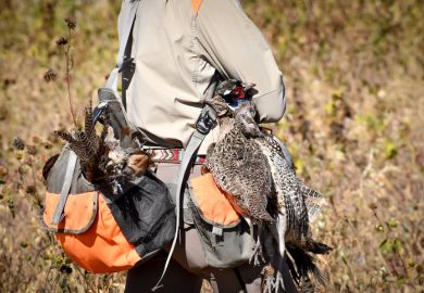 A poacher's bag, containing pheasants