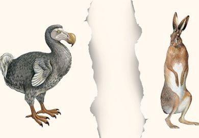 Dodo and March hare Dodo and March hare