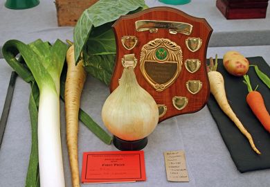 Prize vegetables