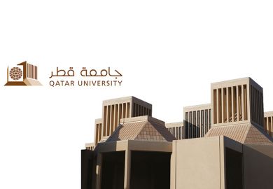 qatar-2020-supplement-image