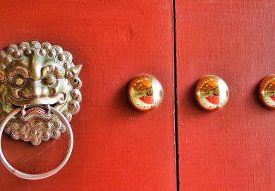 Red door Lion Decoration