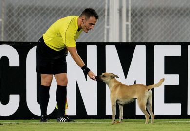 referee and dog