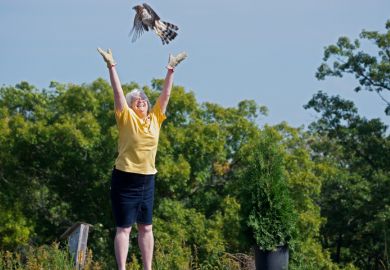 Bird release