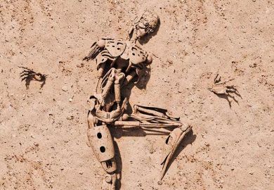 robot-skeleton robot-skeleton