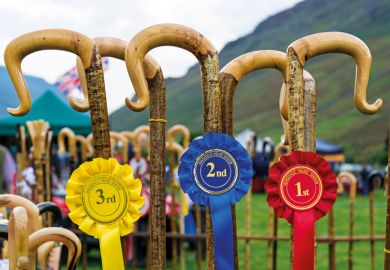 Row of prize-winning shepherds crooks and rosettes