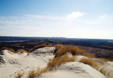 Sand dunes, Terschelling, Friesland, Netherlands