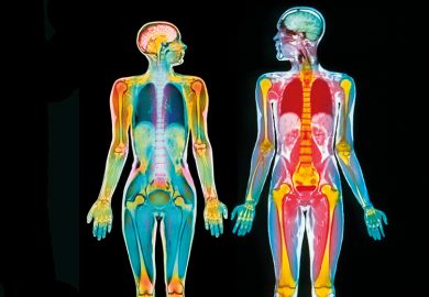 Scan of male and female body