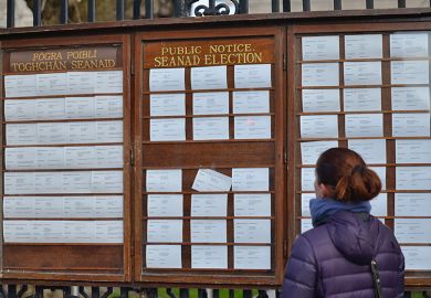 A women is looking at the Seanad Election public notice at the Leinster House fence, Ireland. A women is looking at the Seanad Election public notice at the Leinster House fence, Ireland.