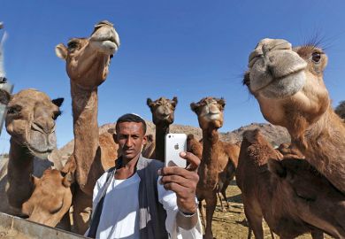 Selfie with camels