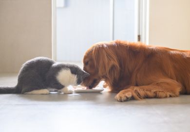 Sharing