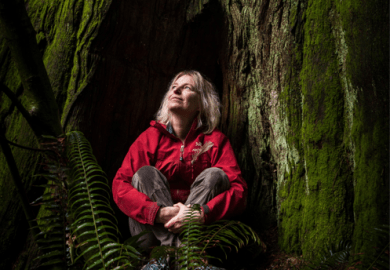 Ecologist Suzanne Simard photographed in Stanley Park in Vancouver, British Columbia Ecologist Suzanne Simard in Stanley Park in Vancouver, British Columbia