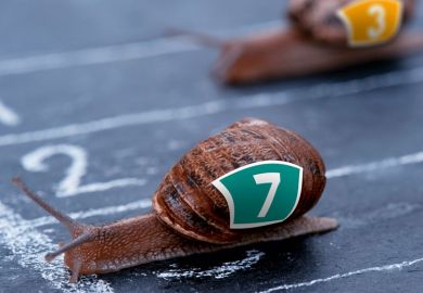 Snails competing in race