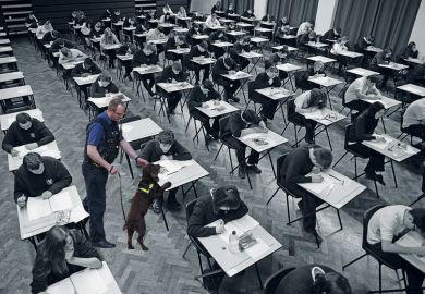 Sniffer dog Sniffer dog