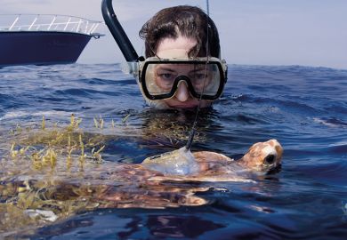 Snorkelling