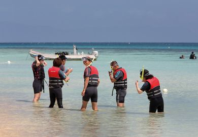 snorkellers Snorkellers