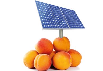 Solar panel in peaches