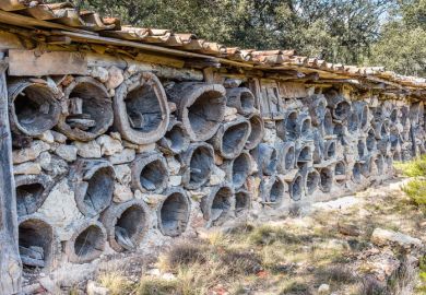 Solarana, Burgos, Spain - November 28, 2015 old bee hive construction in a holm oak forest in rural Castile for apiculture. The derelict hives held the honeycomb to be harvested for honey and wax.