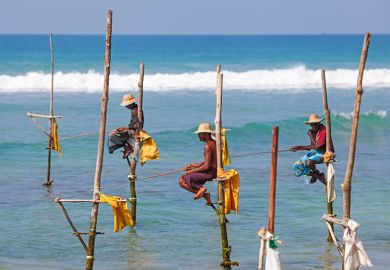 Fishermen sit on their stilts waiting for shoal of fish that will pass their stilts in the shallow water, Weligama, Sri Lanka.