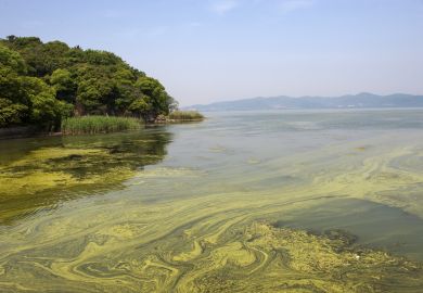 Pollution in Tai Lake near Shanghai