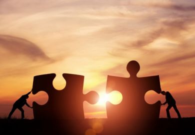 teamwork partnership