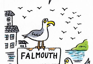 The week in higher education cartoon (16 June 2016)