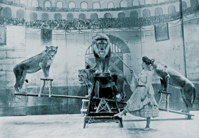 Lions in a circus