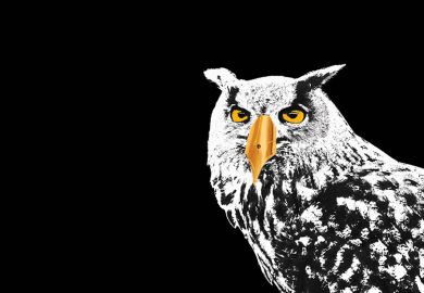 Owl with pen nib as beak Owl with pen nib as beak