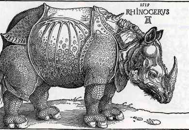 Woodcut of a rhinoceros from 1515