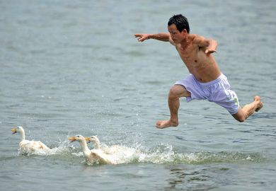 A man jumps into a river to catch ducks during a duck-catching competition, China