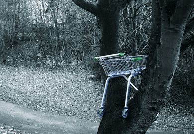 An abandoned supermarket trolley stuck in a tree