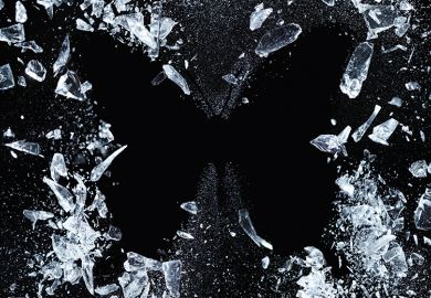 ice butterfly ice butterfly