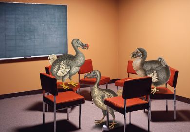 An illustration of three dodos in a classroom