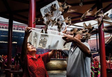 Birds flying out of a box