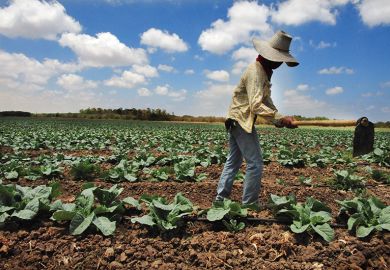 Migrant farm workers in Israel