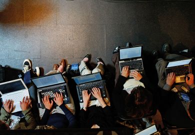 People using laptops